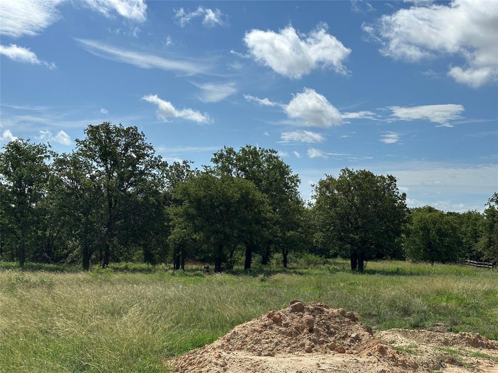 570 Big Salty Lane Springtown, TX 76082 - Photo 3 of 36 Expansive undeveloped land featuring mature trees and natural grasses