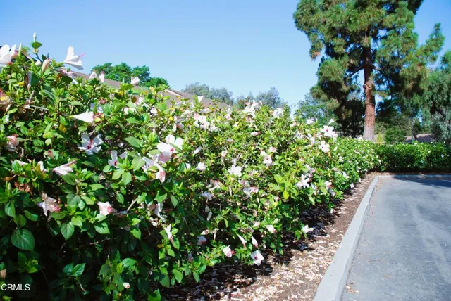 $599,000 | 6213 Village, Unit 6, Camarillo, CA 93012