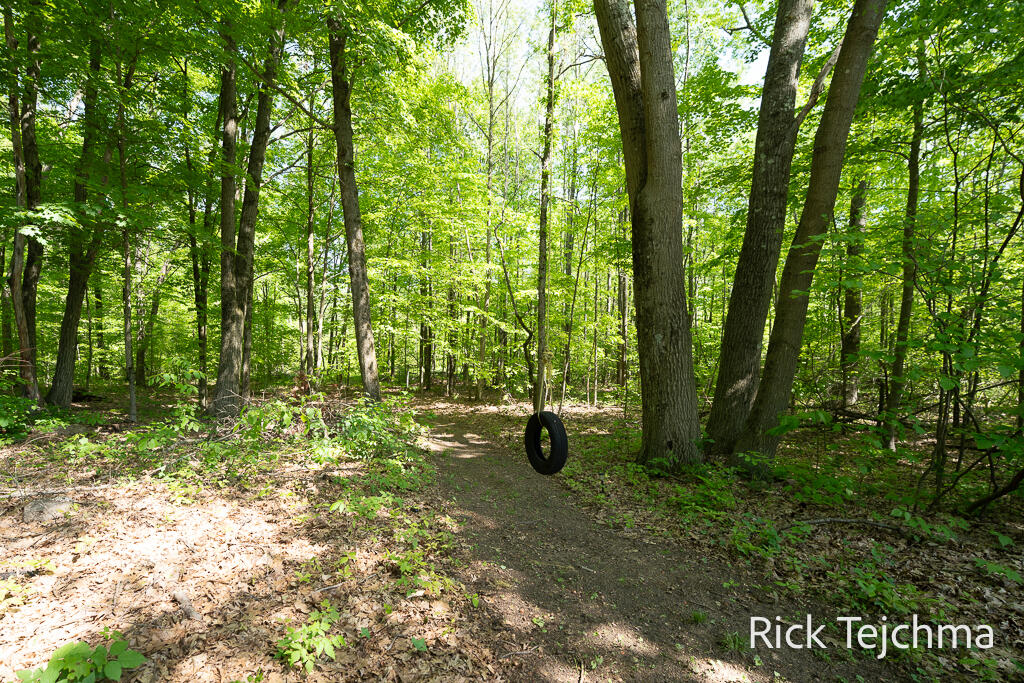 10345 Red Oak Ridge Howard City, MI 49329 - Photo 14 of 80 14