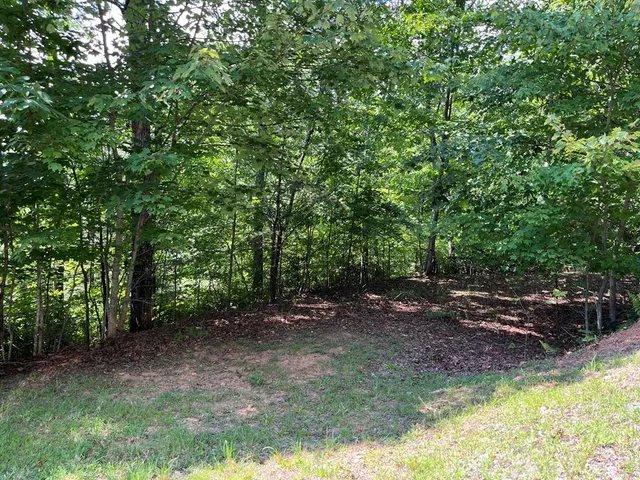 $29,900 | Lot #26 Double Knob Drive, Hayesville, NC 28904