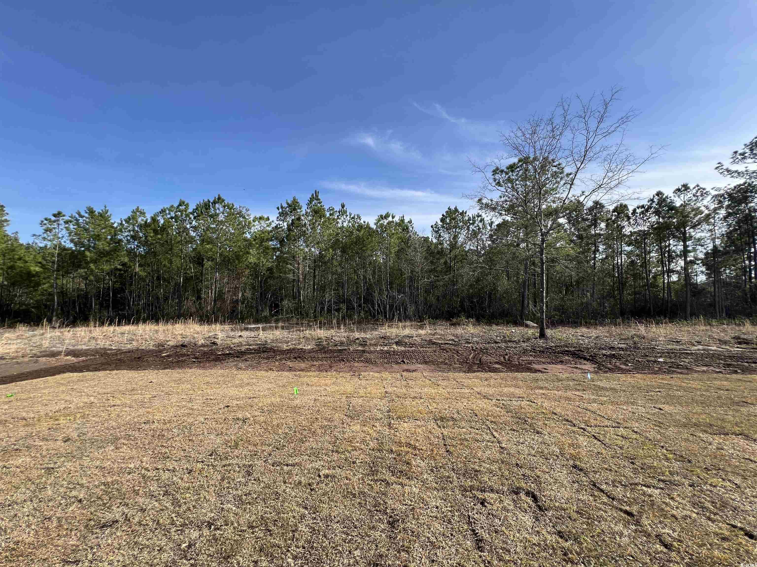 1882 Hardwick Road Conway, SC 29526 - Photo 3 of 24 Gallery Image 3