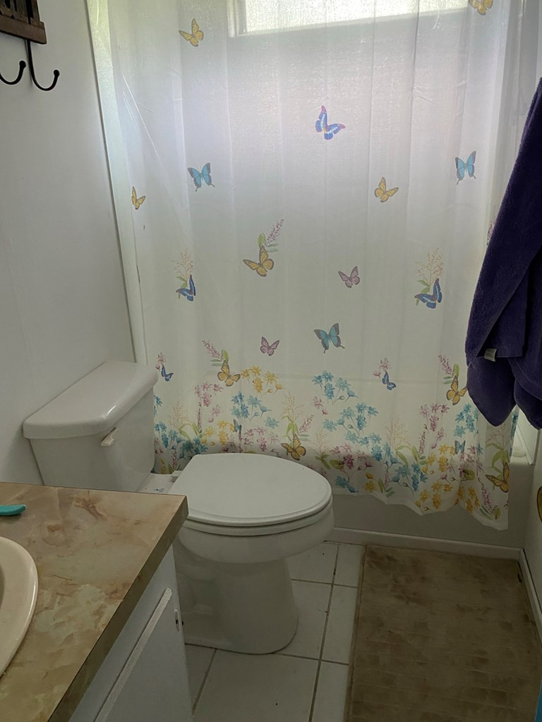 558 Tee Vee Road Elloree, SC 29047 - Photo 11 of 21 2bd Bathroom