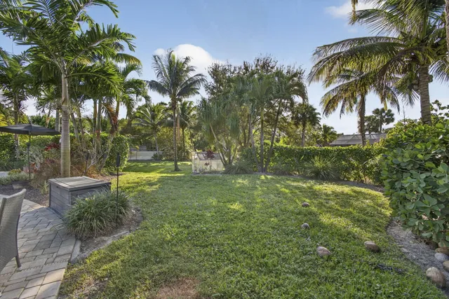 a view of a park with a tree