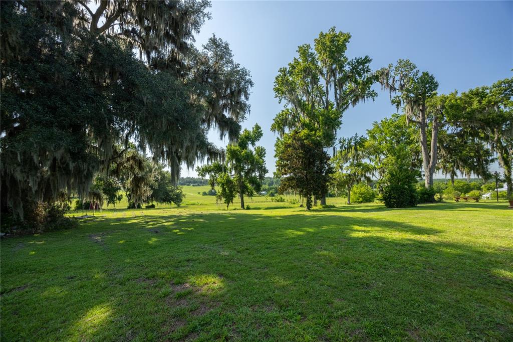 21601 Old Bellamy Road Alachua, FL 32615 - Photo 38 of 67