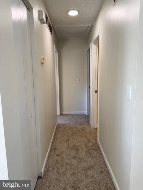 204 Maryland Road Stevensville, MD 21666 - Photo 10 of 22 Hall leads to Primary BR, Full BA & 2nd BR