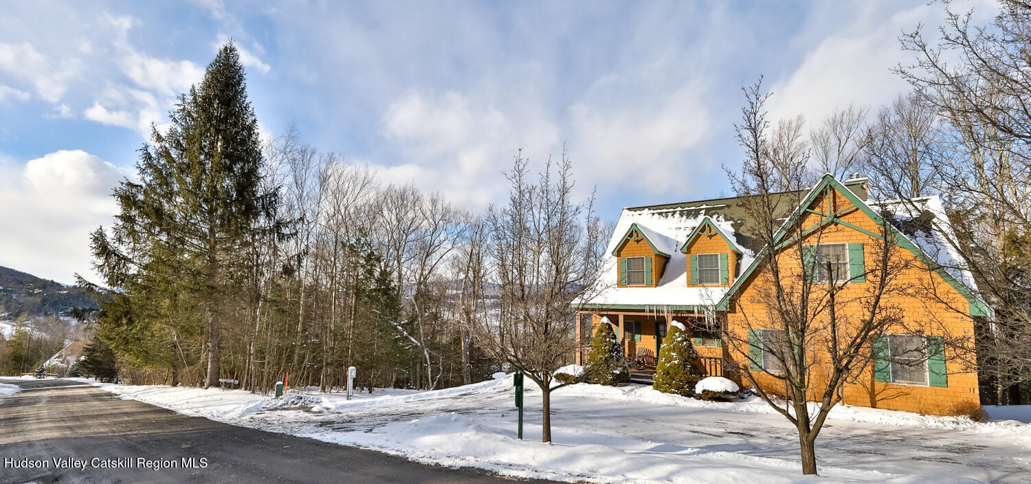 37 White Way Windham, NY 12496 - Photo 2 of 101 2V2A3229-Edt