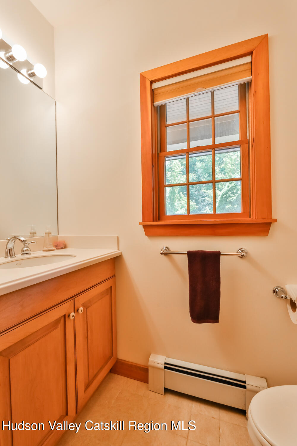 37 White Way Windham, NY 12496 - Photo 36 of 101 a bathroom with a sink and a toilet