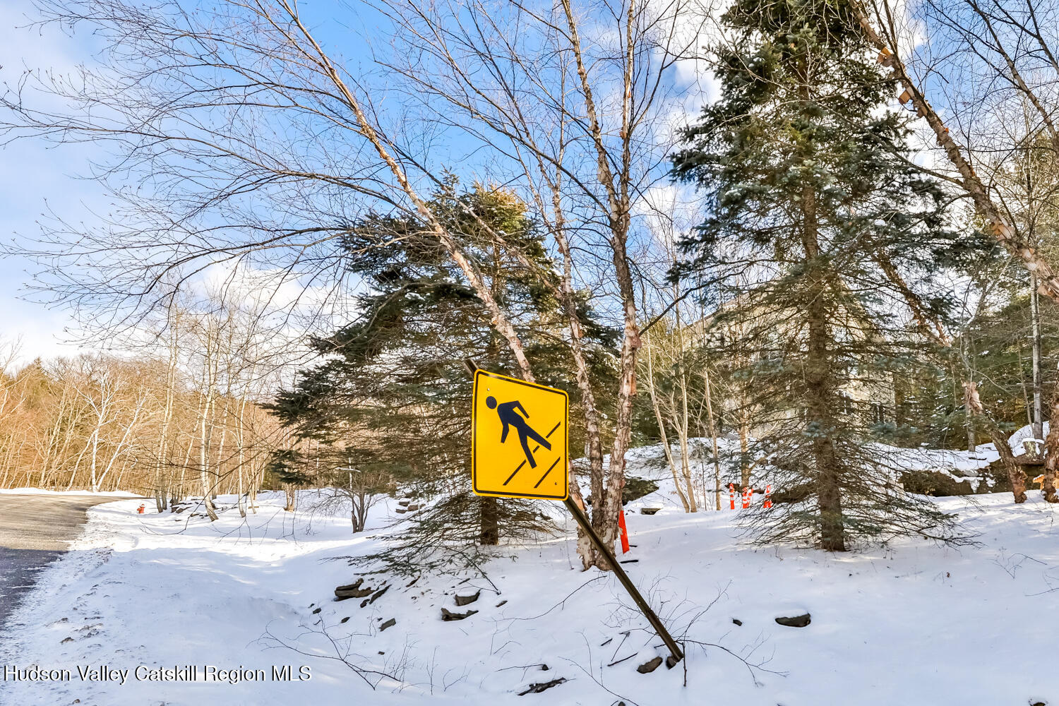 37 White Way Windham, NY 12496 - Photo 6 of 101 2V2A3085-Edt
