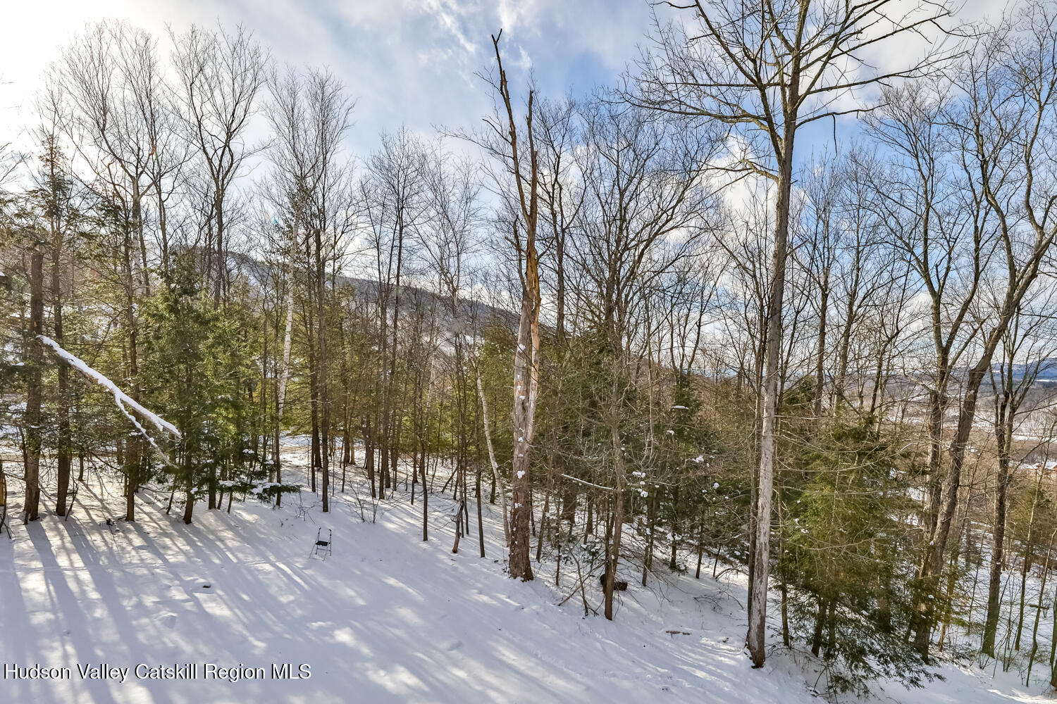 37 White Way Windham, NY 12496 - Photo 62 of 101 2V2A2993-Edt