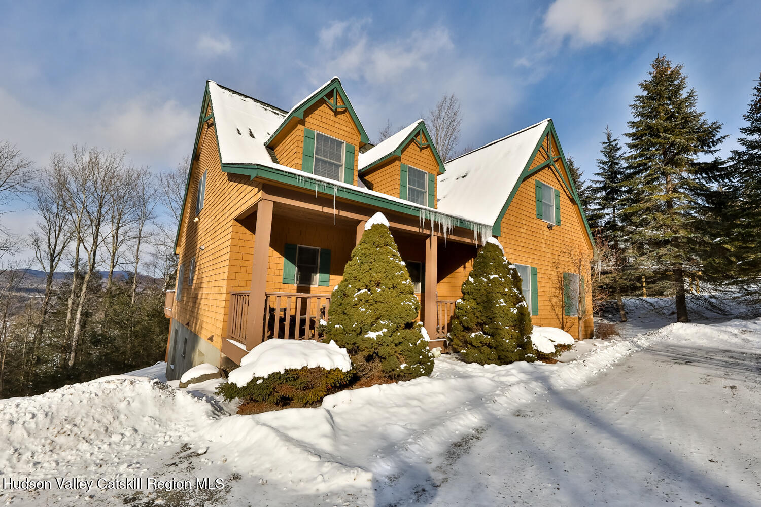 37 White Way Windham, NY 12496 - Photo 63 of 101 2V2A3021-Edt