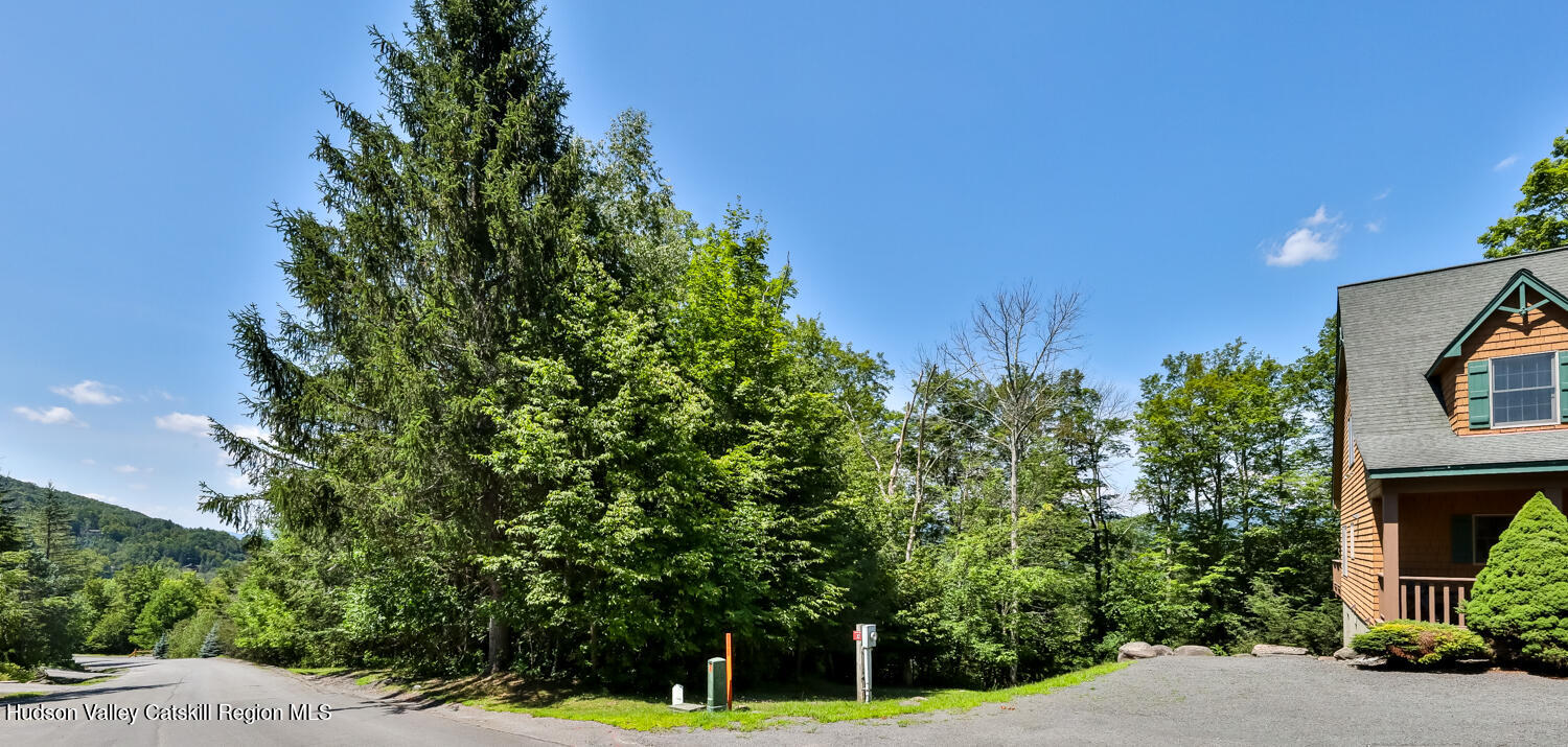 37 White Way Windham, NY 12496 - Photo 65 of 71 a backyard of a house with plants and tree