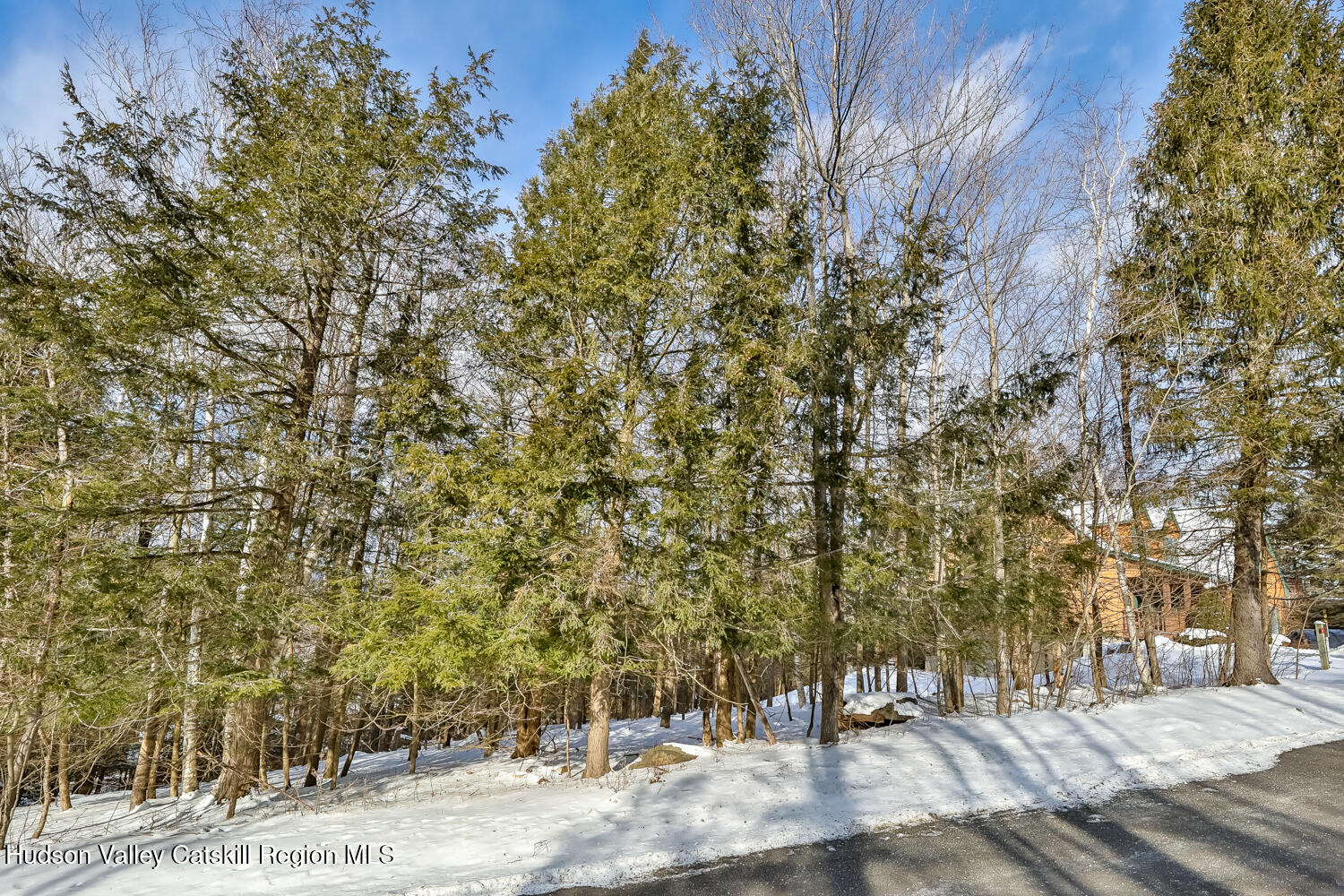 37 White Way Windham, NY 12496 - Photo 68 of 101 a view of outdoor space with trees