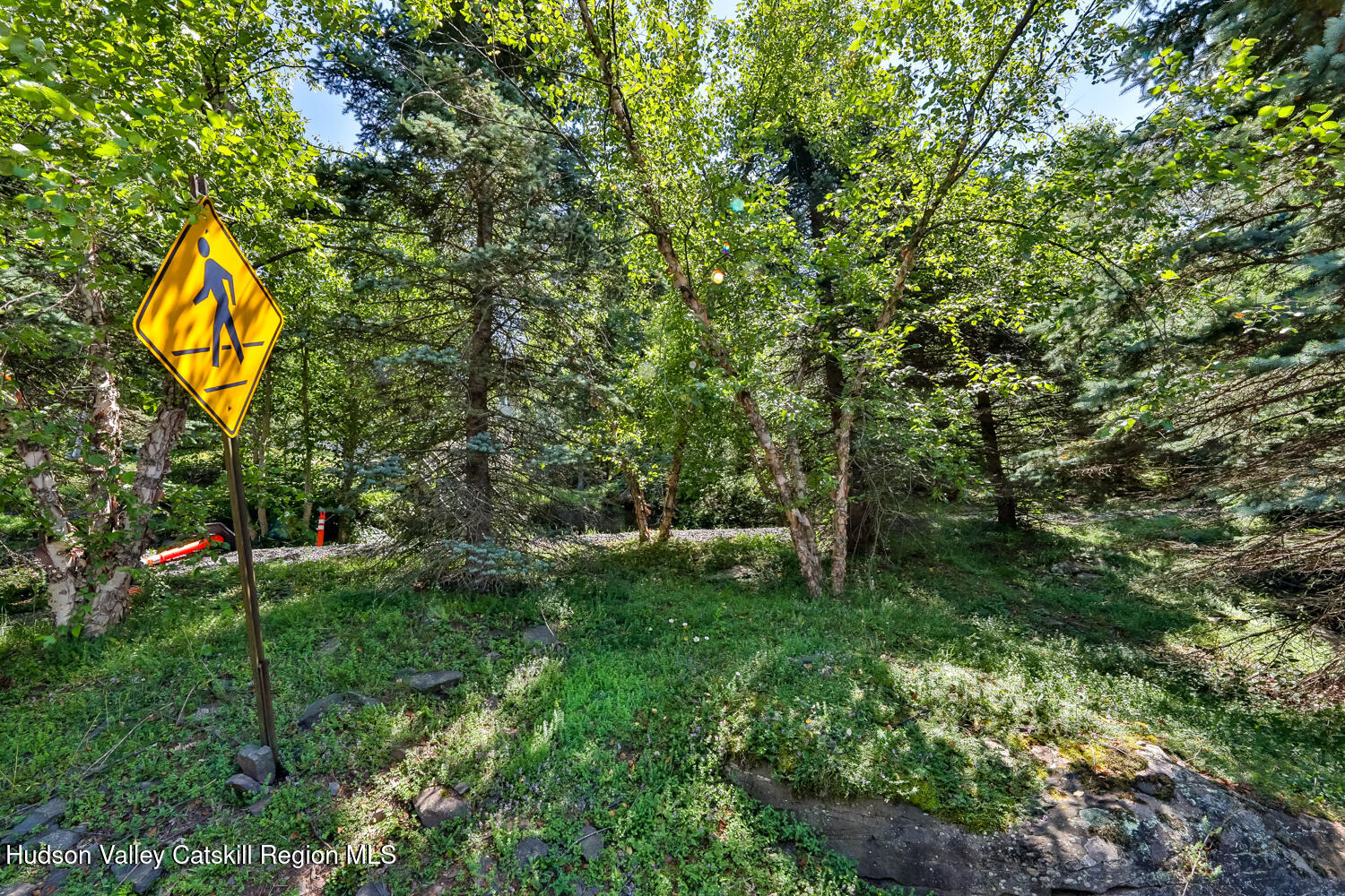 37 White Way Windham, NY 12496 - Photo 69 of 71 a view of swimming pool of a house with a yard