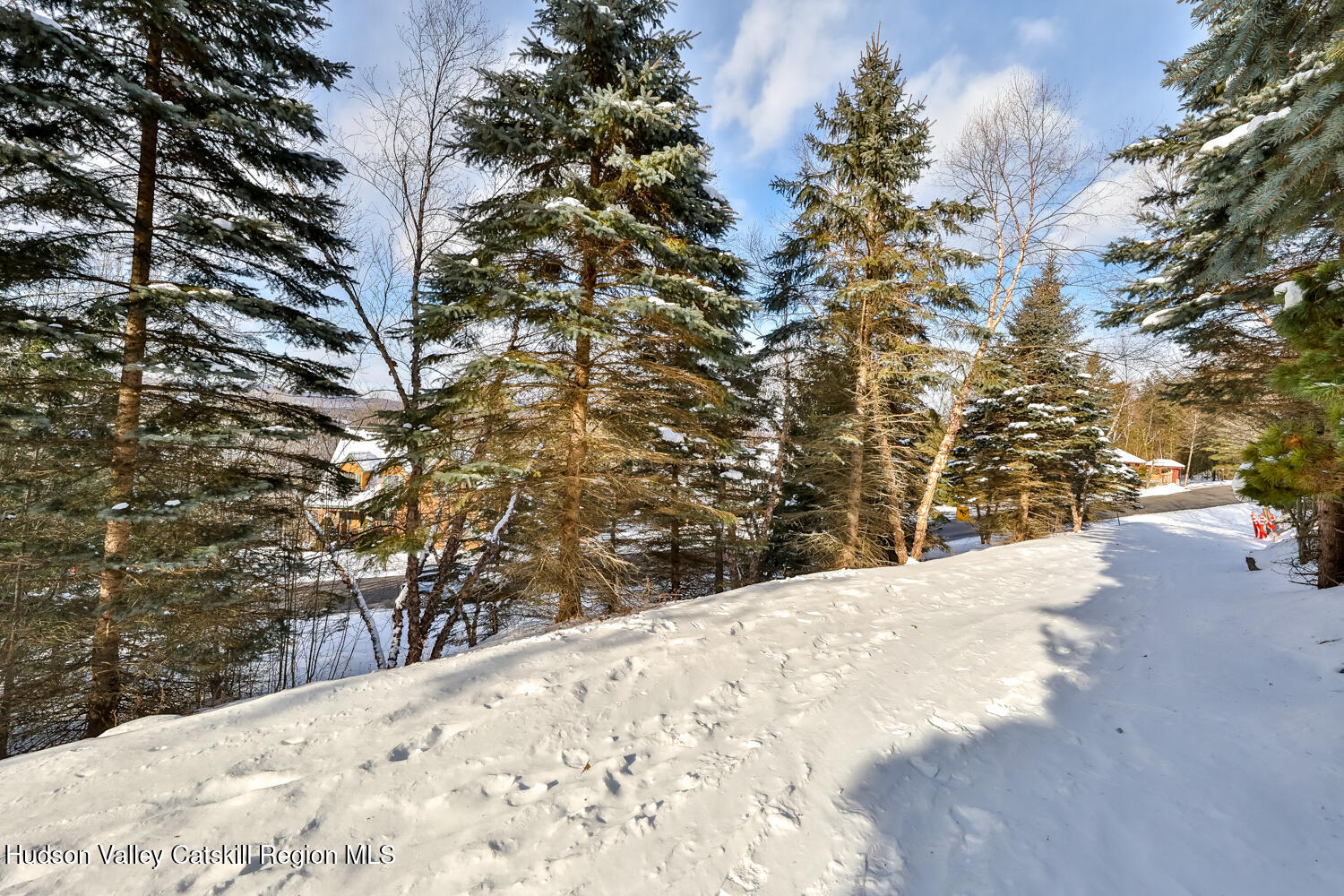 37 White Way Windham, NY 12496 - Photo 7 of 101 a view of a backyard of the house