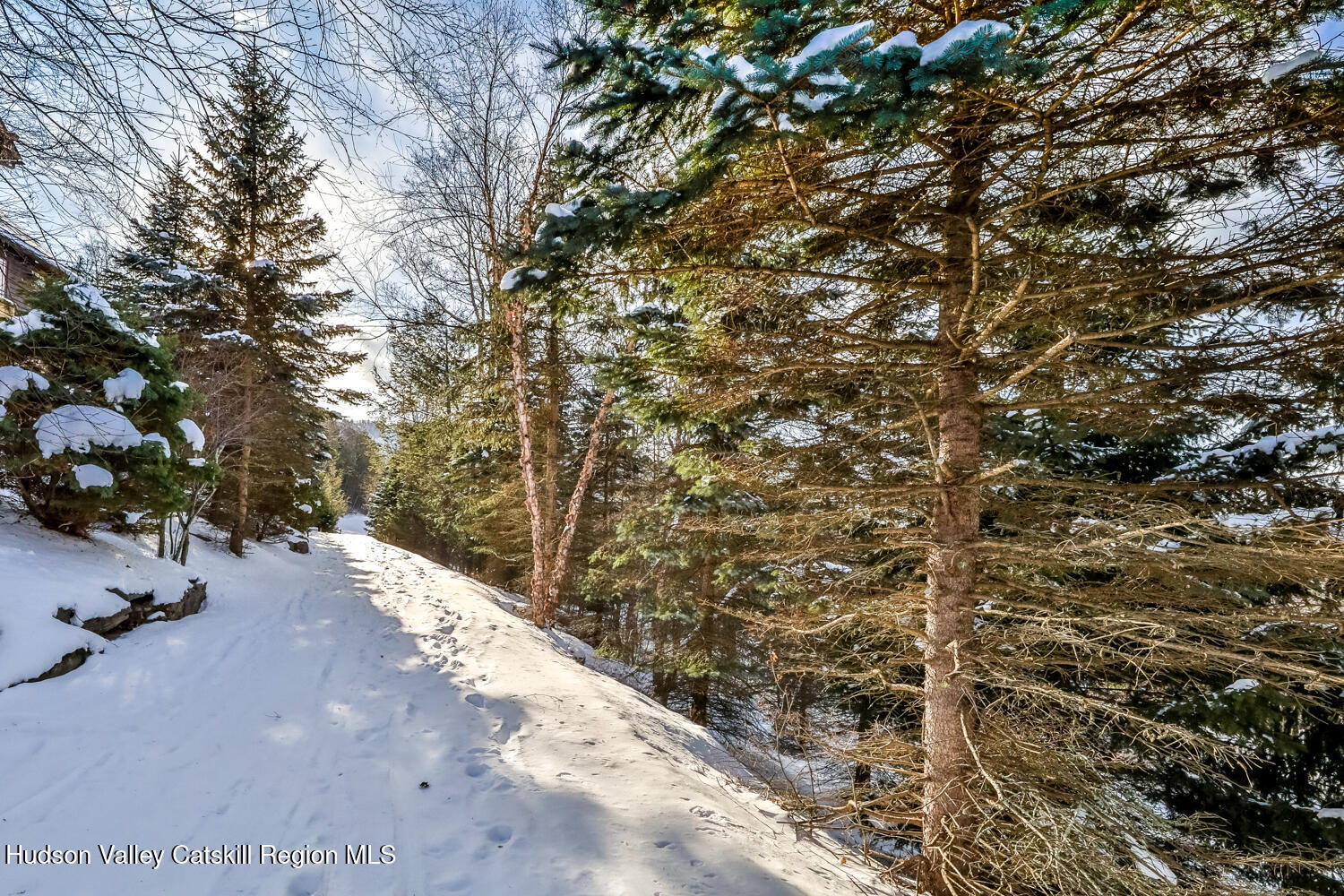 37 White Way Windham, NY 12496 - Photo 73 of 101 a view of a pathway with a tree