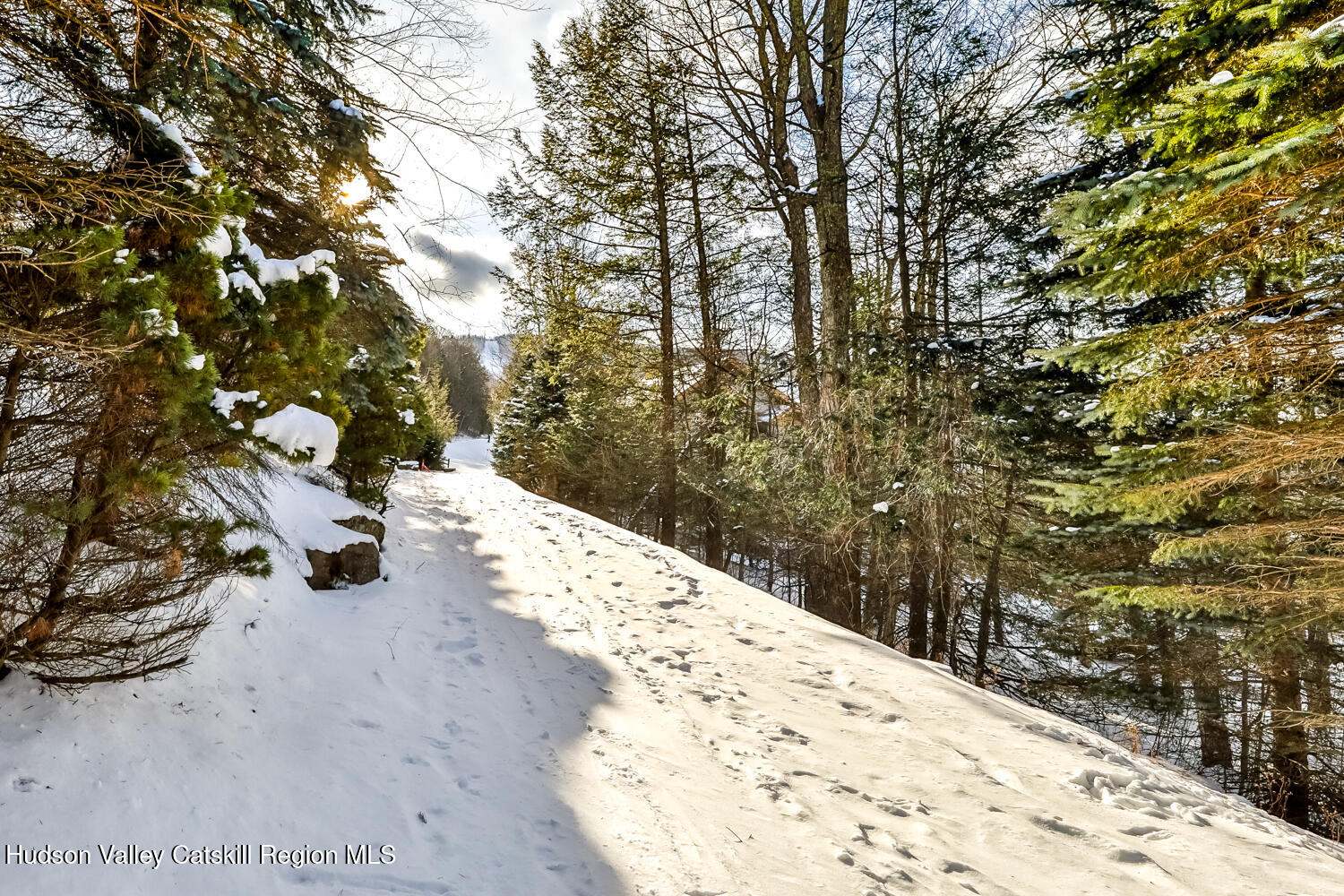 37 White Way Windham, NY 12496 - Photo 74 of 101 a view of a backyard of the house