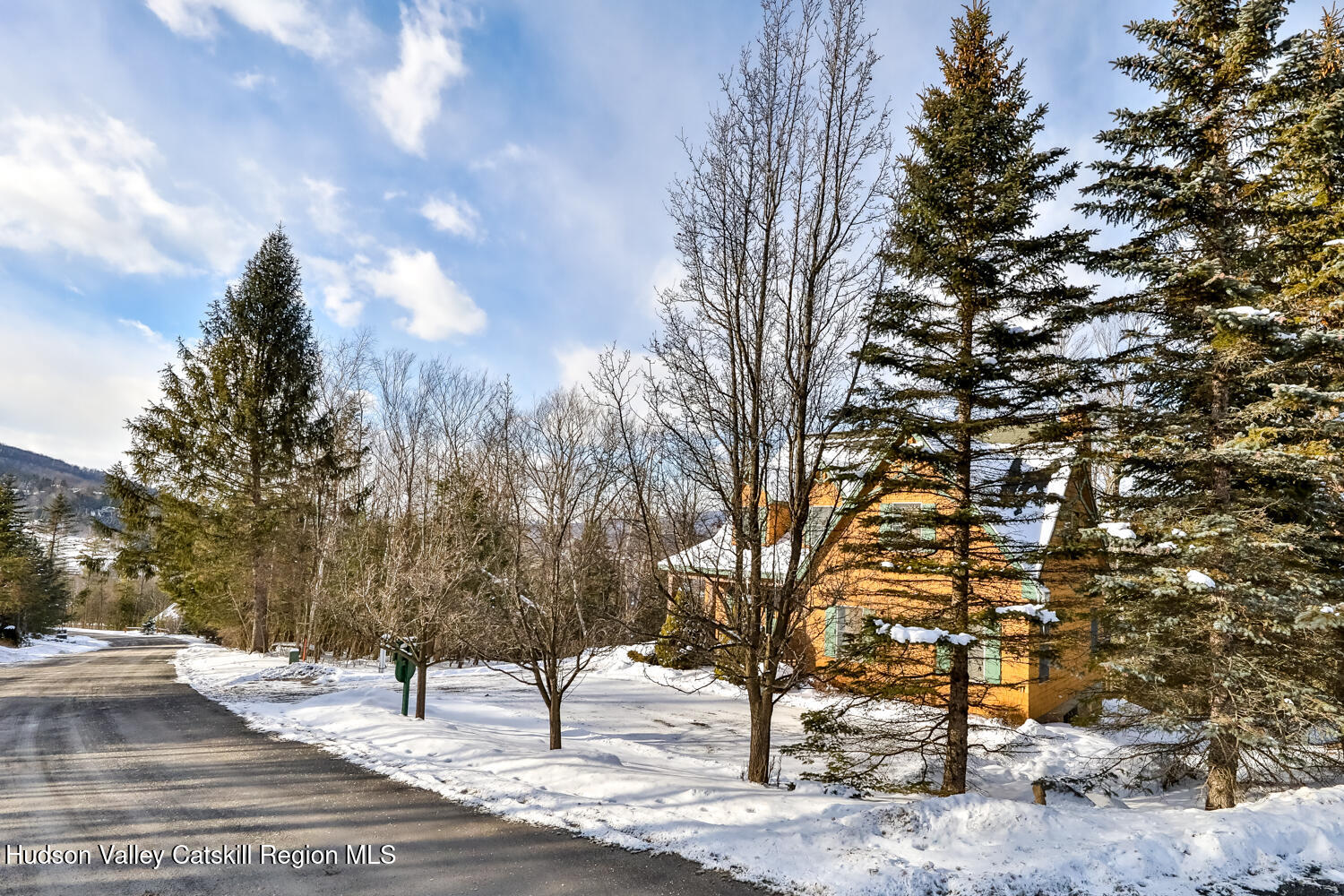 37 White Way Windham, NY 12496 - Photo 84 of 101 2V2A3225-Edt