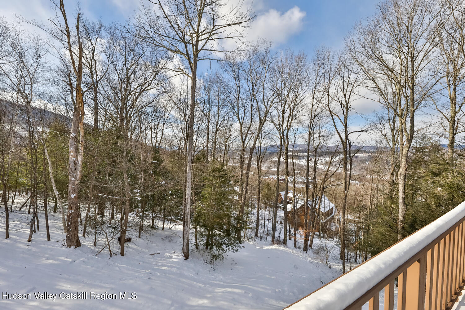 37 White Way Windham, NY 12496 - Photo 9 of 101 a view of a park with large trees