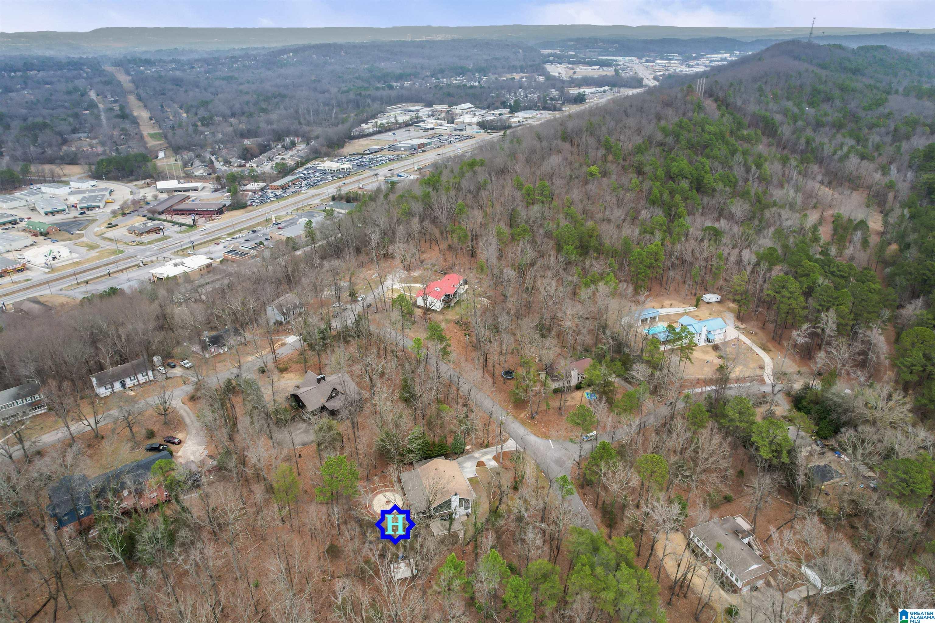 20 Oak Ridge Drive Pelham, AL 35124 - Photo 9 of 44