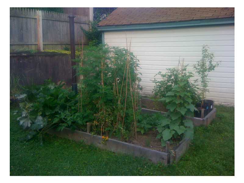 108 Edgehill Road Providence, RI 02906 - Photo 24 of 25 Yard/Garden.