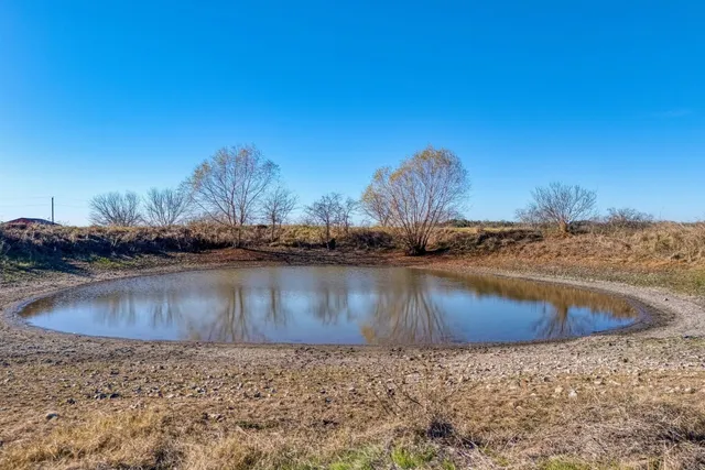 a view of a field with an ocean