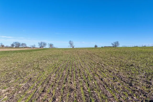 a view of a yard with an ocean view