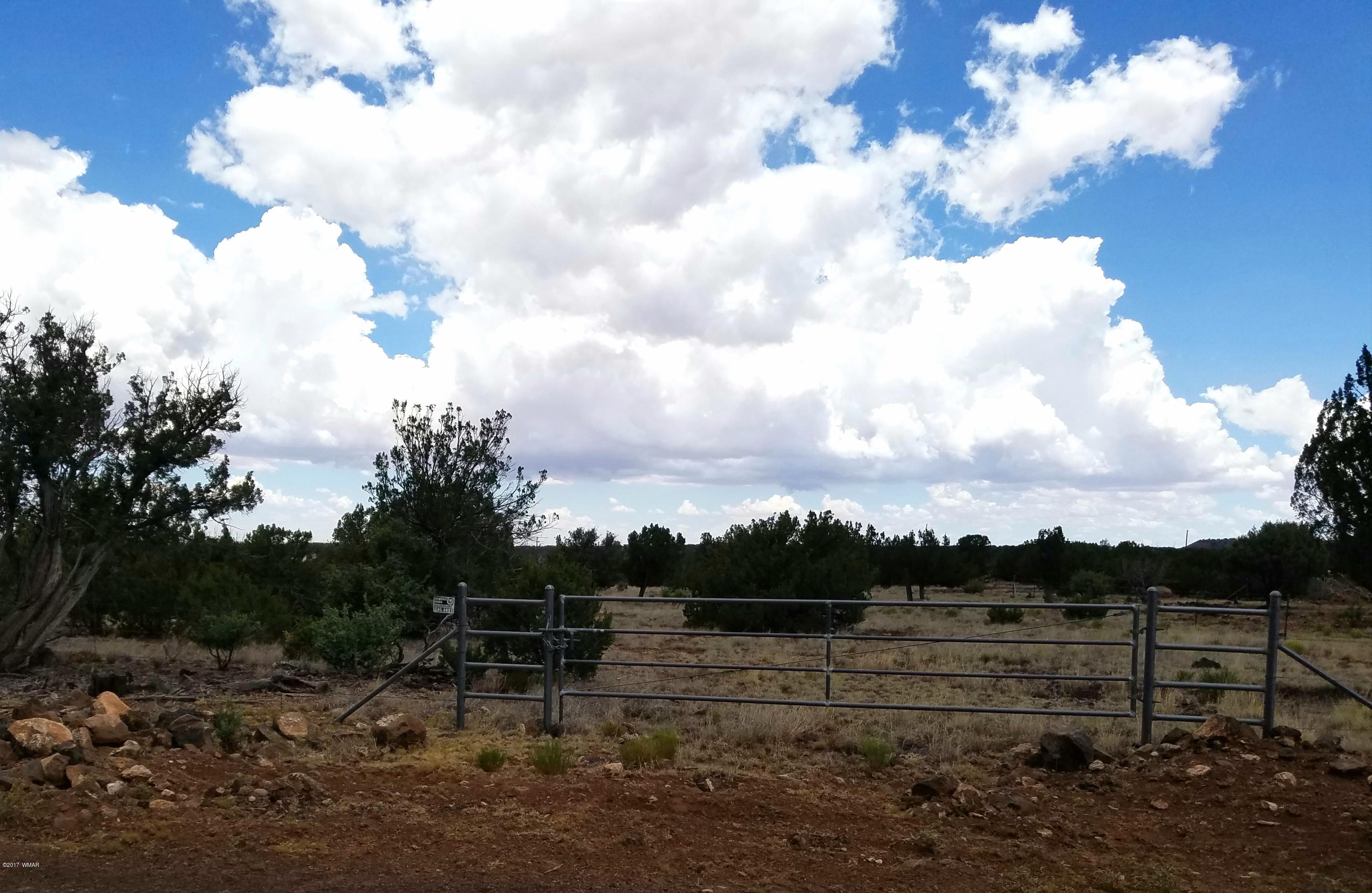 8318 Weber Road Show Low, AZ 85901 - Photo 2 of 4