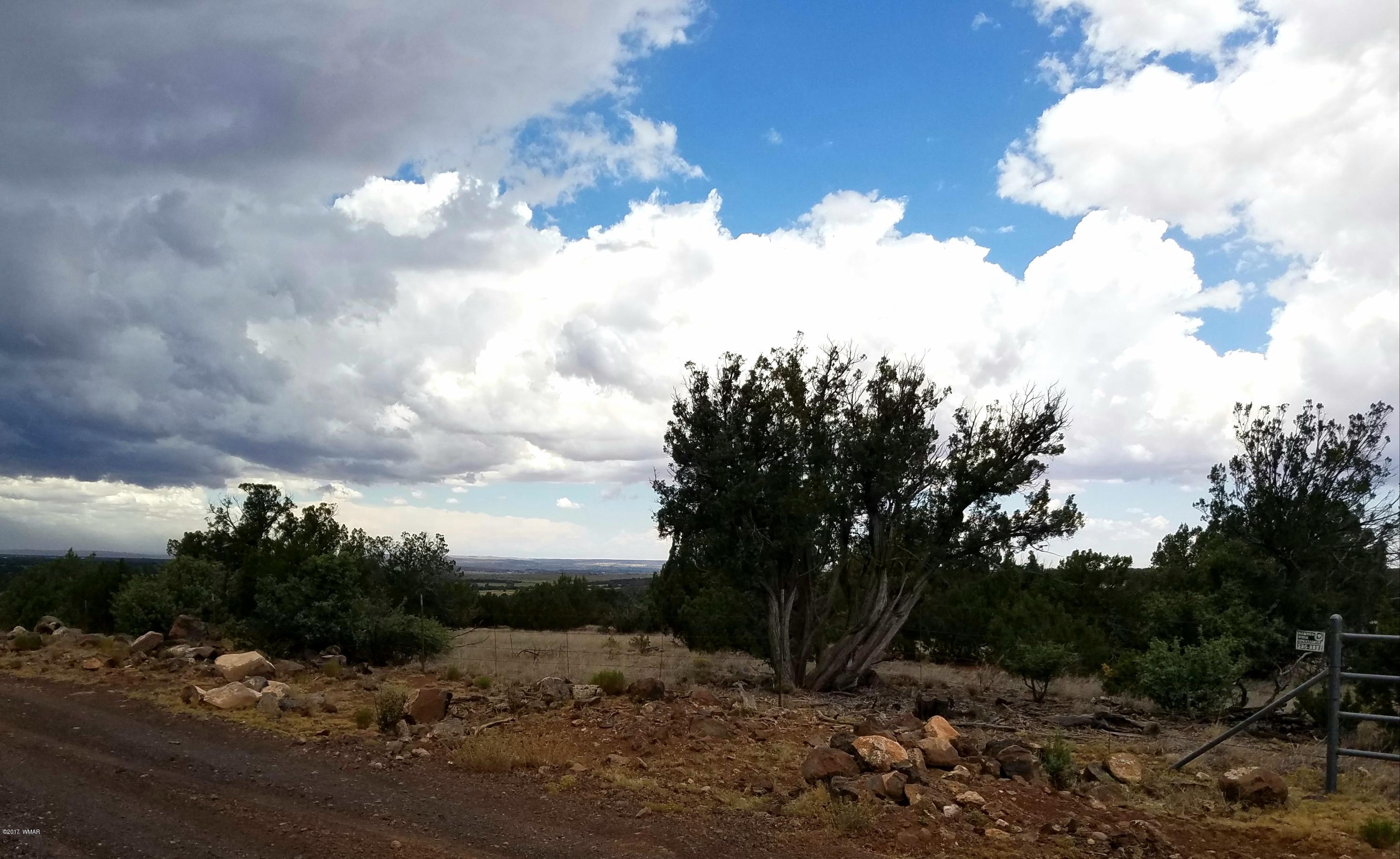 8318 Weber Road Show Low, AZ 85901 - Photo 3 of 4