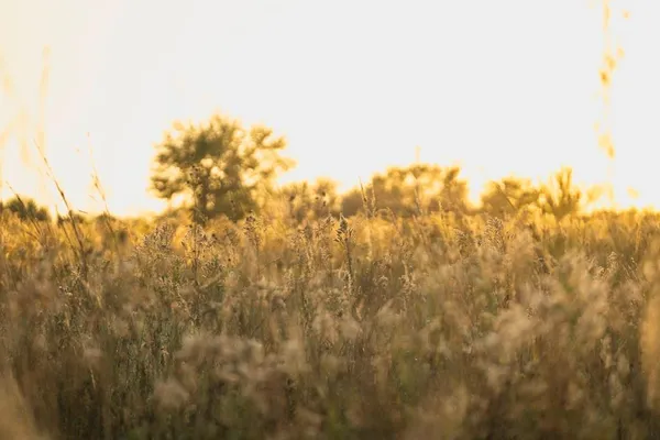 $279,999 | 0 West 391st Street, Osawatomie, KS 66064