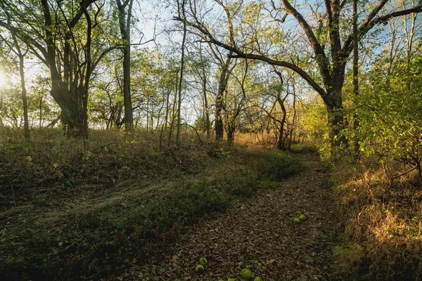 $279,999 | 0 West 391st Street, Osawatomie, KS 66064