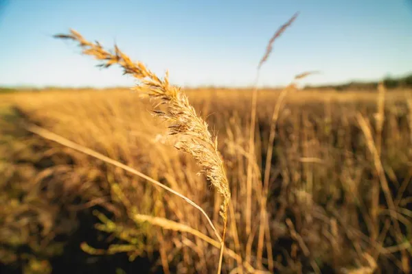 $279,999 | 0 West 391st Street, Osawatomie, KS 66064