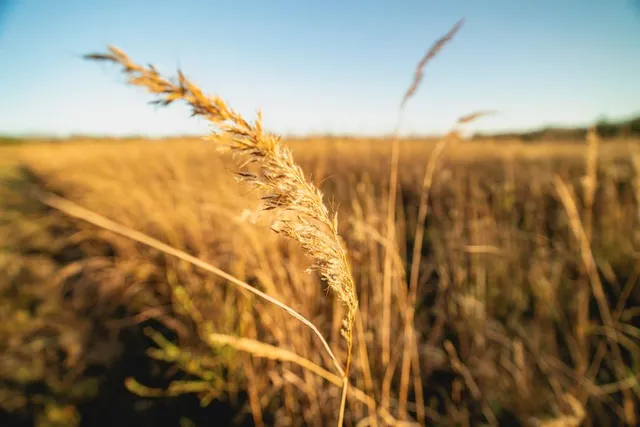 $289,500 | 0 West 391st Street, Osawatomie, KS 66064