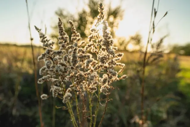 $289,500 | 0 West 391st Street, Osawatomie, KS 66064