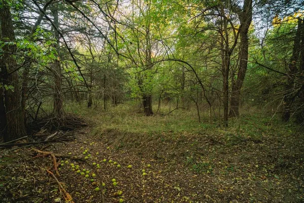 $279,999 | 0 West 391st Street, Osawatomie, KS 66064