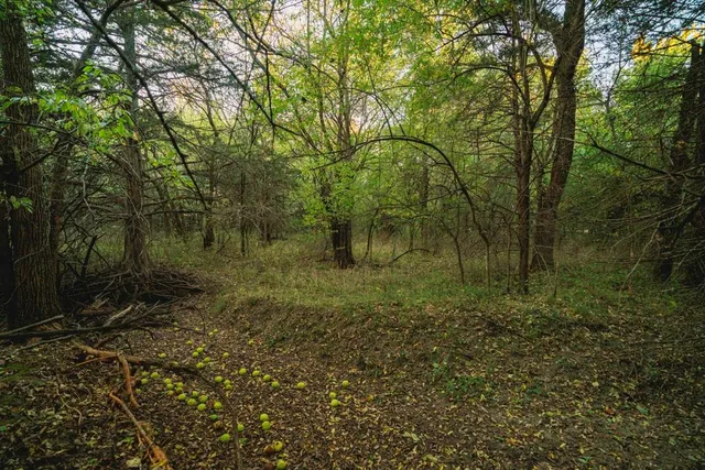 $289,500 | 0 West 391st Street, Osawatomie, KS 66064