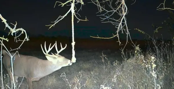 $279,999 | 0 West 391st Street, Osawatomie, KS 66064