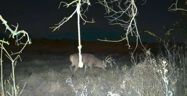 $279,999 | 0 West 391st Street, Osawatomie, KS 66064