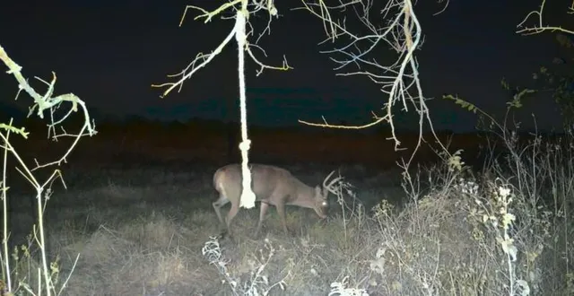 $289,500 | 0 West 391st Street, Osawatomie, KS 66064