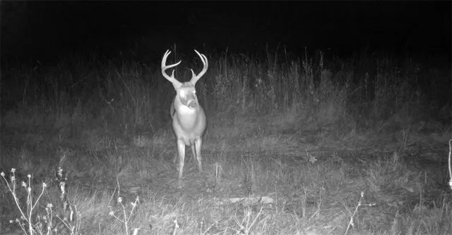 $289,500 | 0 West 391st Street, Osawatomie, KS 66064