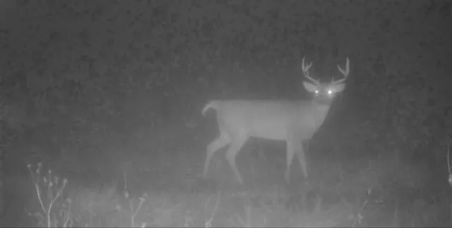 $289,500 | 0 West 391st Street, Osawatomie, KS 66064