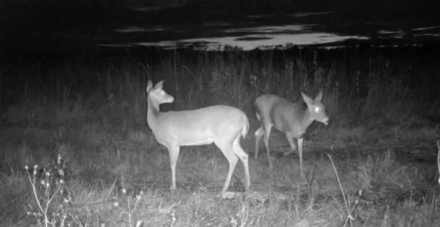 $289,500 | 0 West 391st Street, Osawatomie, KS 66064