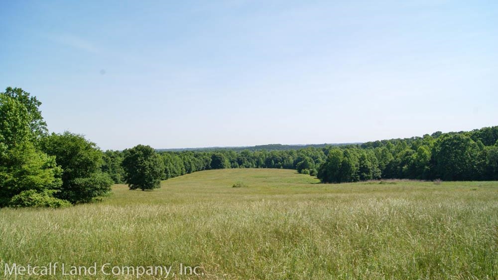 2031 Harris Grove Church Road Gray Court, SC 29645 - Photo 29 of 36