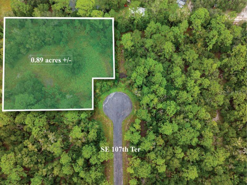 107 Southeast Se Terrace Inglis, FL 34449 - Photo 1 of 1 a view of a garden