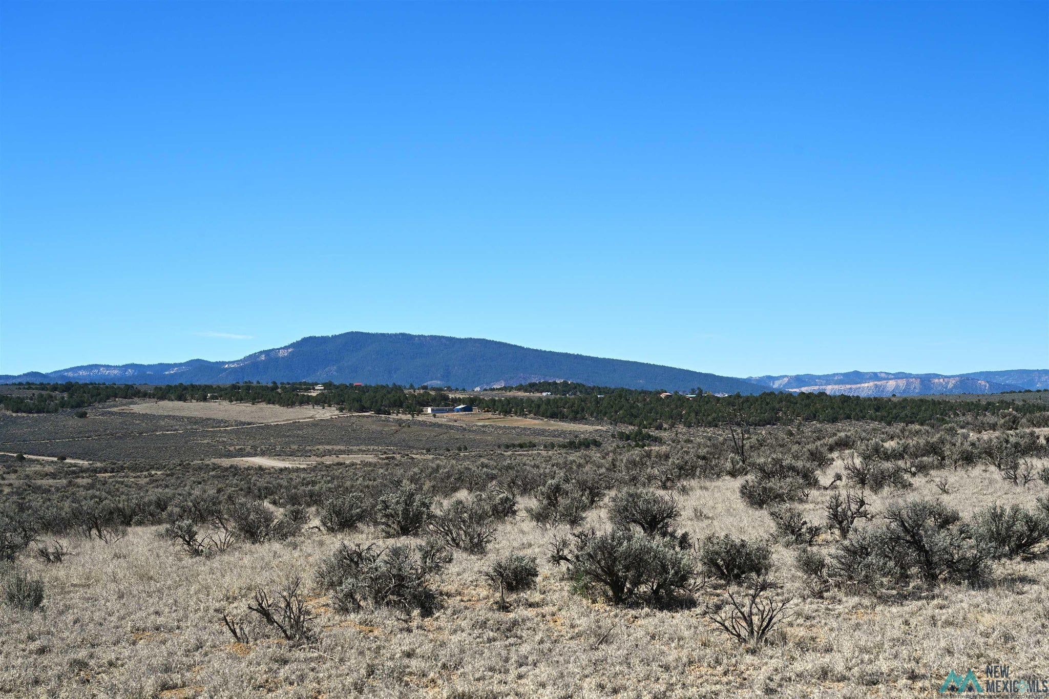 Pajarito Road Tierra Amarilla, NM 87575 - Photo 5 of 14 Gallery Image 5