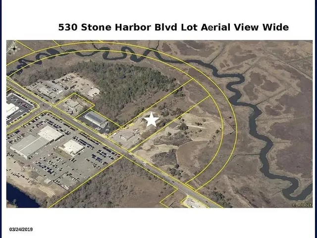 a black and white photo of a park