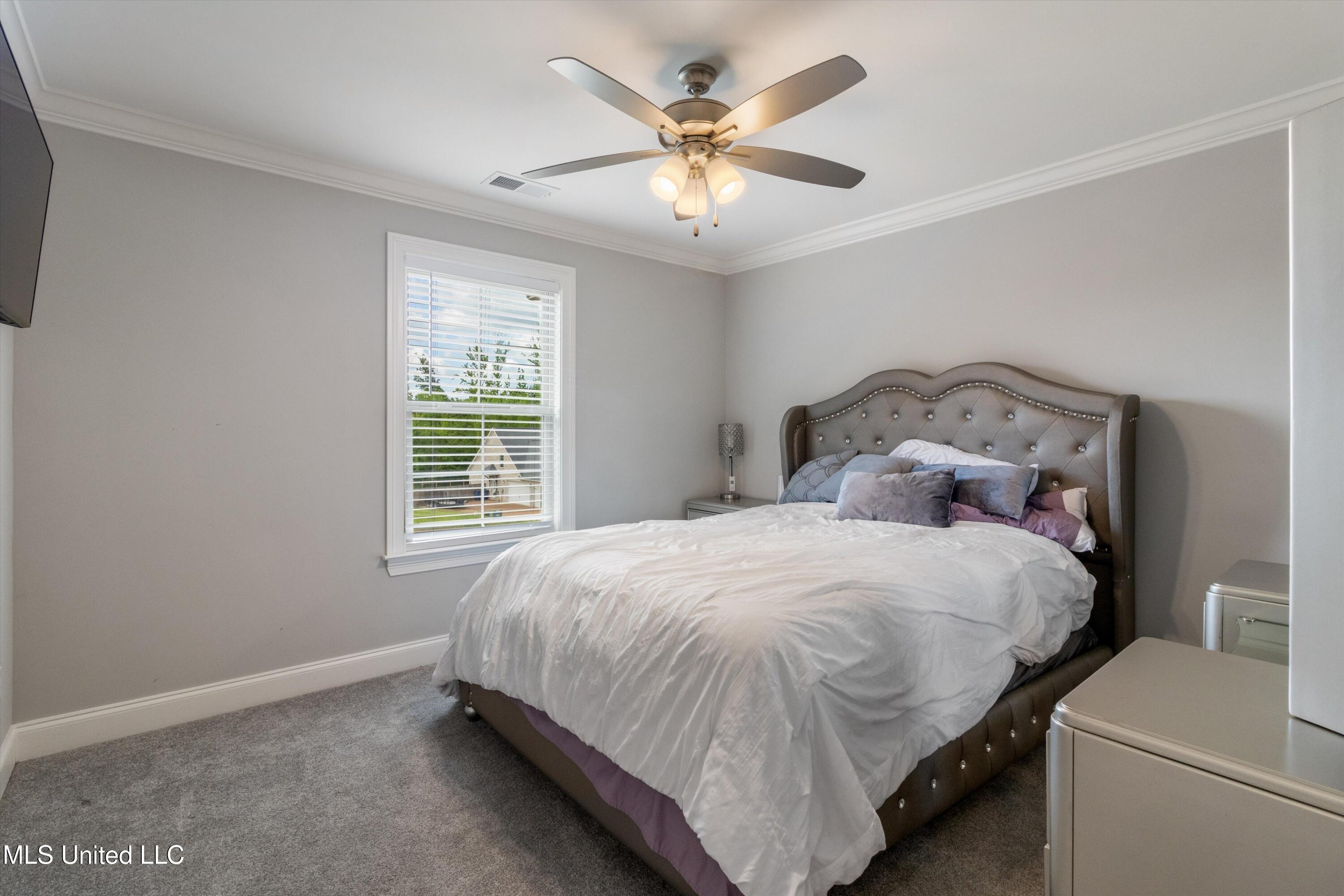 4624 Bakers Trail Nesbit, MS 38651 - Photo 18 of 27 18-4624 Bakers Trail East-57