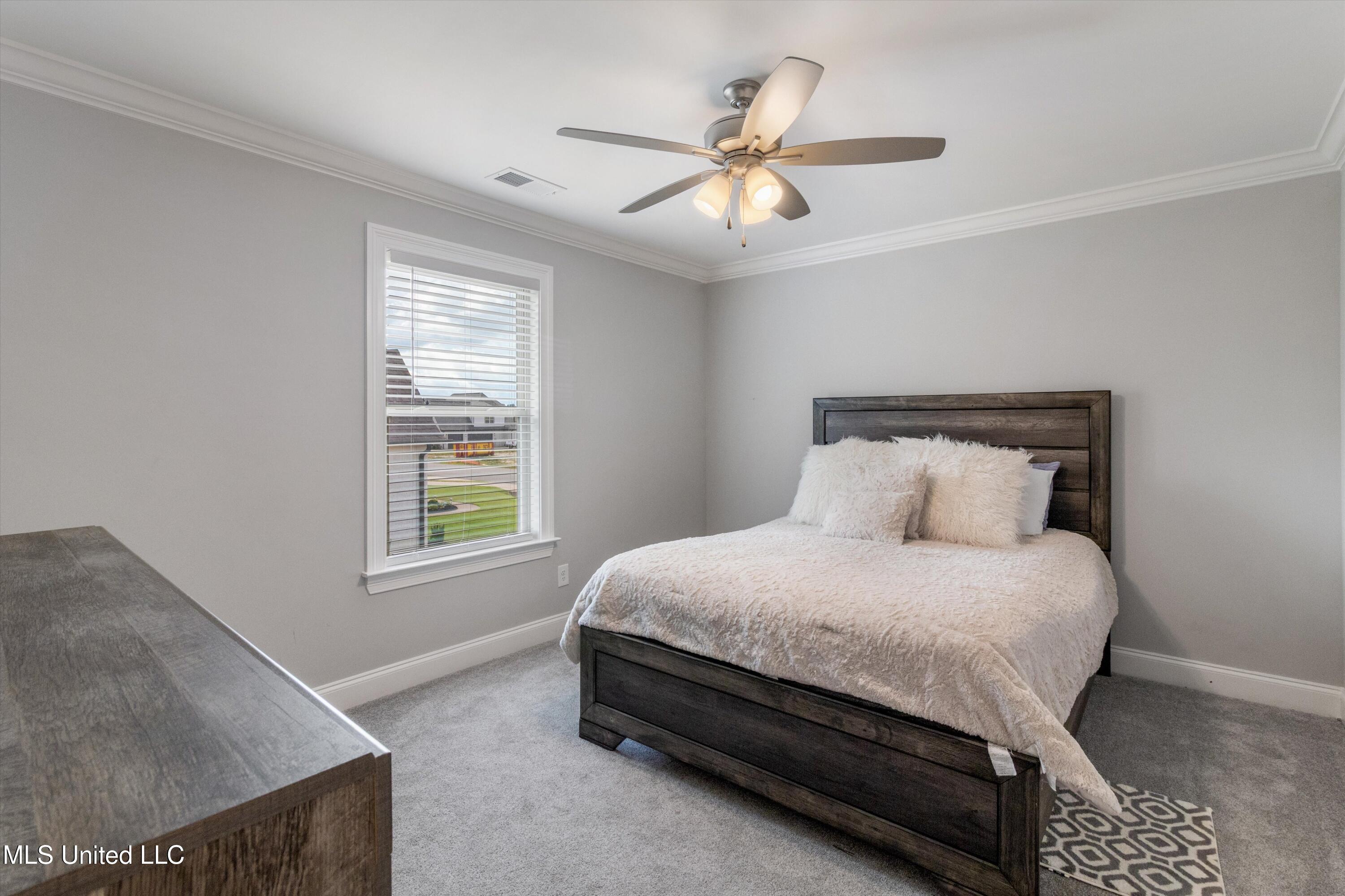 4624 Bakers Trail Nesbit, MS 38651 - Photo 19 of 27 19-4624 Bakers Trail East-58