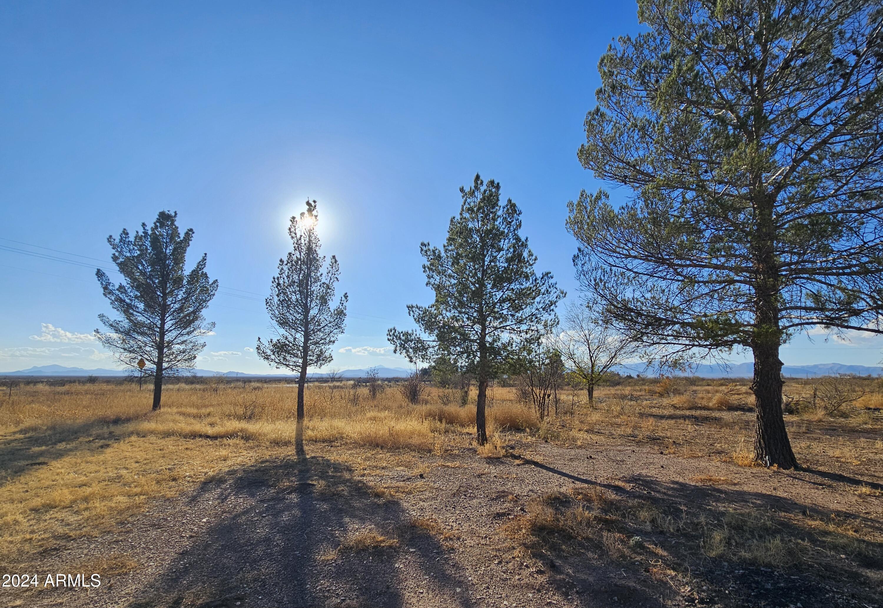 3786 West Double Adobe Road McNeal, AZ 85617 - Photo 5 of 12 20241207_151744