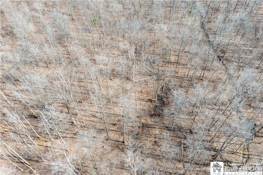 5208 West Main Road Pomfret, NY 14063 - Photo 17 of 17