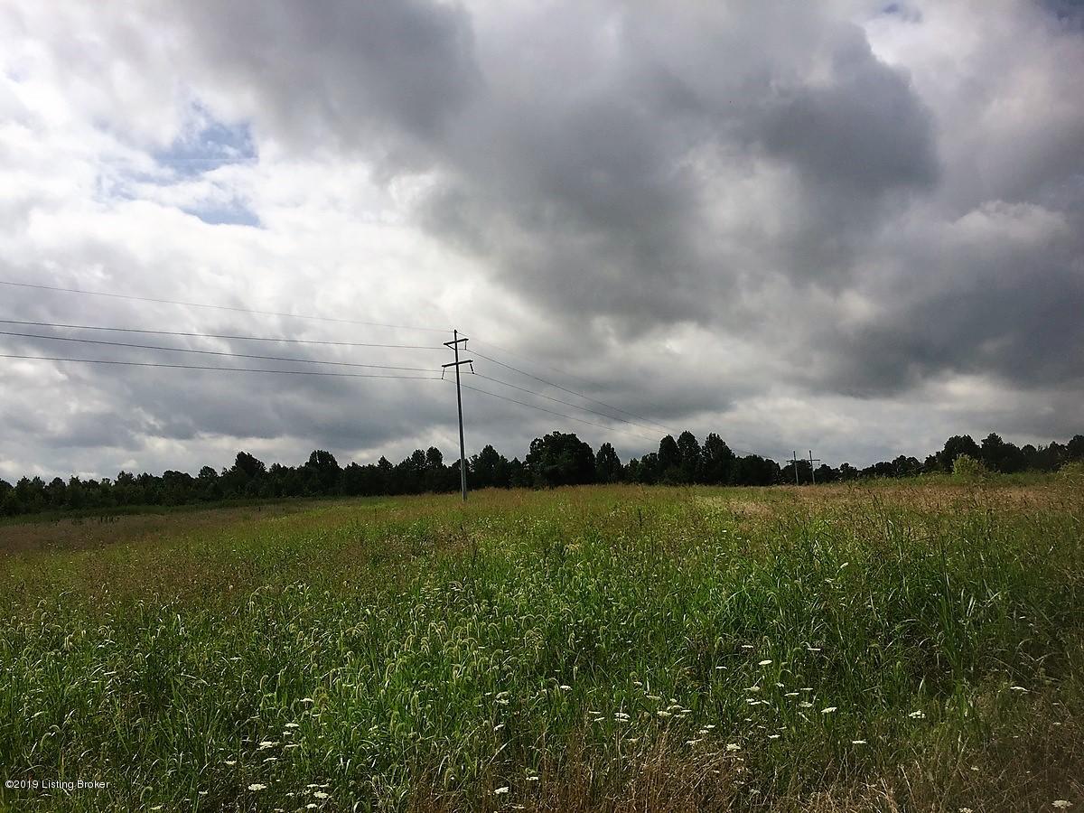 386 Salem Church Road Bee Spring, KY 42207 - Photo 46 of 64 Field 20